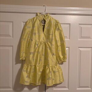 Tuckernuck Ladies Citron Fil Coupe Palmerston Dress - Size Small